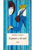 Fazekas László - Kapukulcs a kő alatt