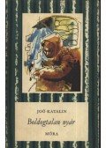 Joó Katalin - Boldogtalan nyár