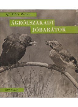 ifj. Tildy Zoltán - Ágrólszakadt jóbarátok ifj. Tildy Zoltán - Ágrólszakadt jóbarátok, Budapest 1960 antikvár könyv