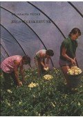 Szalva Péter - Zöldségeskertünk