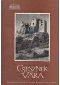 Koppány Tibor - Csesznek vára