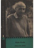 Illyés Gyula - Fáklyaláng