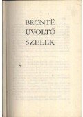 Emily Brontë - Üvöltő szelek