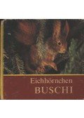 Massny, Helmut - Eichhörnchen Buschi