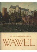 Bohdanowicz, Halina - Wawel