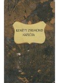 Benkő Samu - Kemény Zsigmond naplója