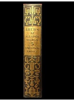 Brehm Alfréd - Emlősök V. kötet Brehm Alfréd - Emlősök V. kötet, Budapest 0 antikvár könyv