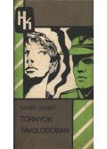Szabó József - Tornyok távolodóban