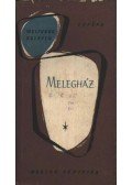 Koeppen, Wolfgang - Melegház