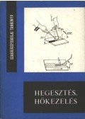 Gacs Zoltán - Hegesztés, hőkezelés