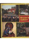 Sellyei Anna (szerk.) - Úttörőtükör