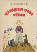 Kányádi Sándor - Virágon vett vitéz