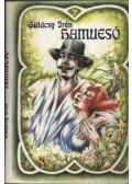 Gulácsy Irén - Hamueső