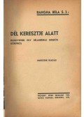 Bangha Béla - Dél Keresztje alatt