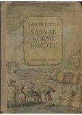 Passuth László - Sasnak körme között