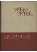 Veres Péter - Számadás