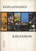 Varsádi Zsuzsa - Közgazdasági kislexikon