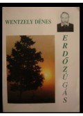 Wentzely Dénes - Erdőzúgás