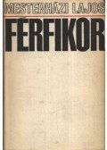 Mesterházi Lajos - Férfikor