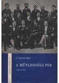 S. Vincze Edit - A hűtlenségi per (1871-1872)