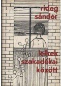 Rideg Sándor - Lelkek szakadékai között