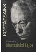 Kőháti Zsolt - Mesterházi Lajos