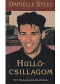 Danielle Steel - Hullócsillagom