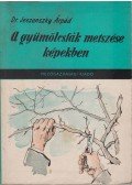 Dr. Jeszenszky Árpád - A gyümölcsfák metszése képekben