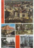 Molnár Máté - Zala