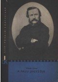 Eötvös József - A falu jegyzője