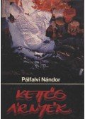 Pálfalvi Nándor - Kettős árnyék