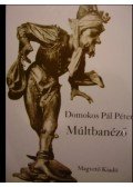 Domokos Pál Péter - Múltbanéző