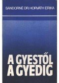 Sándorné dr. Horváth Erika - A GYEStől a GYEDig