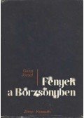Gazsi József - Fények a Börzsönyben