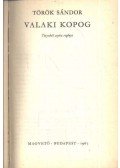 Török Sándor - Valaki kopog