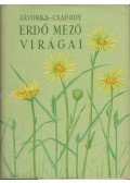 Csapody Vera,Jávorka Sándor - Erdő mező virágai