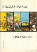 Vársádi Zsuzsa - Közgazdasági kislexikon