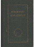 Ivan Turgenyev - Első szerelem