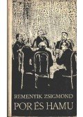 Remenyik Zsigmond - Por és hamu