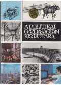 Vársádi Zsuzsa - A politikai gazdaságtan kisszótára