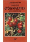 László-Bencsik Ábel - Magyarországi gyógynövények képes enciklopédiája - Ősz