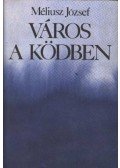 Méliusz József - Város a ködben