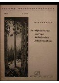 Majer Antal - Az aljnövényzet szerepe bükköseinek felújításában