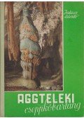 Jakucs László - Aggteleki cseppkőbarlang