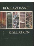 Varsádi Zsuzsa - Közgazdasági kislexikon