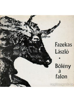 Fazekas László - Bölény a falon