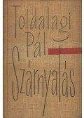 Toldalagi Pál - Szárnyalás