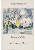 Thury Zoltán - Valahogy élni