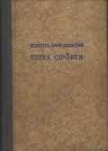 Kosztolányi Dezsőné - Tüzes cipőben