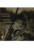 Palocsay Zsigmond - Nádiringó